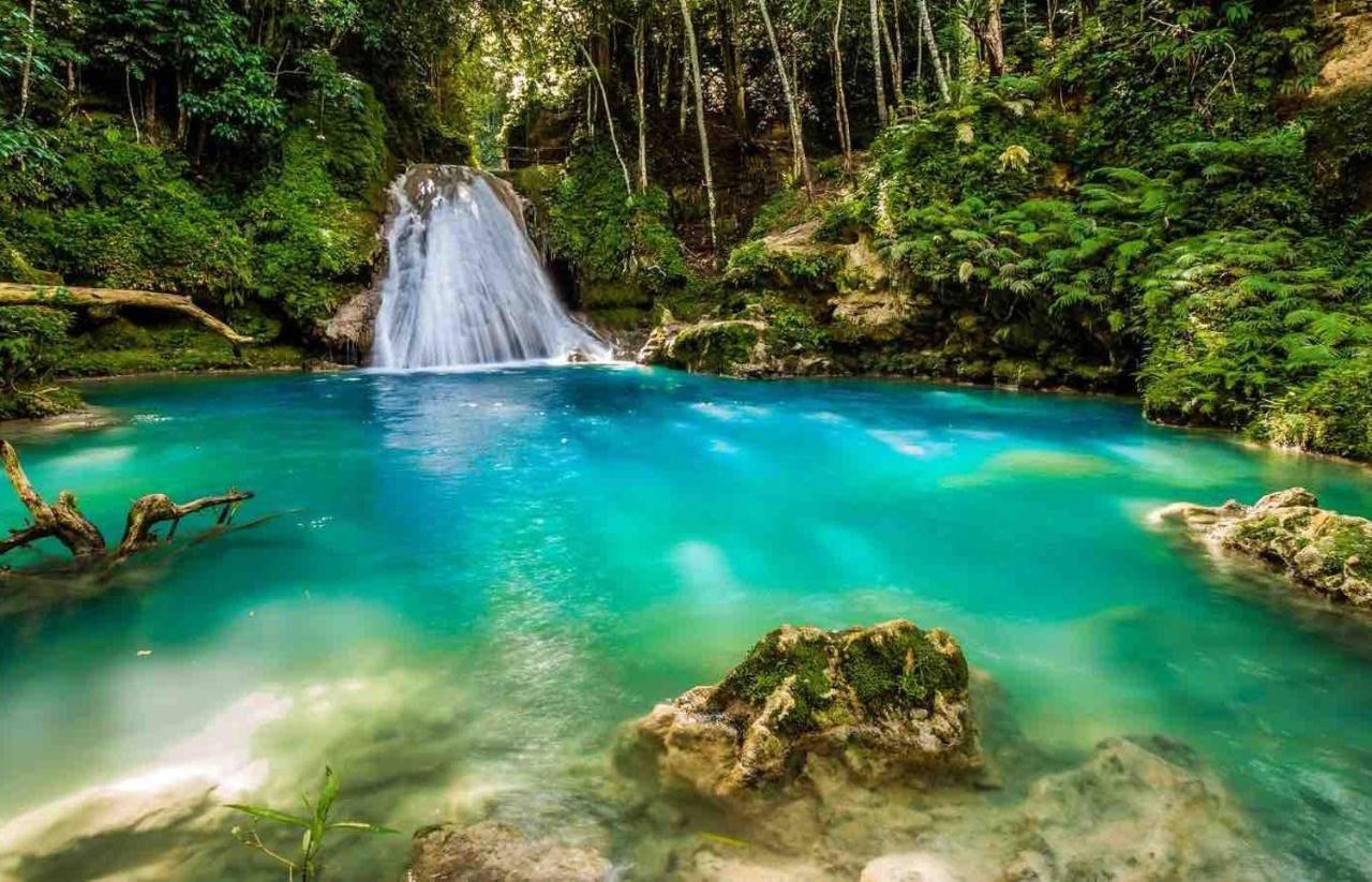 The Roseville Ocho Rios Exteriör bild